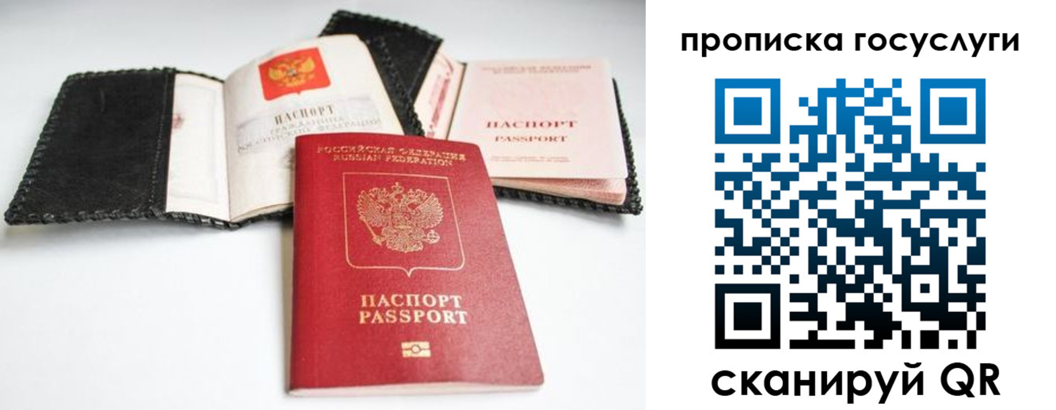 прописка от собственника в Вязьме